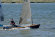 csc1008019.jpg